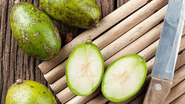 SÆ¡ Cháº¿ CÃ³c