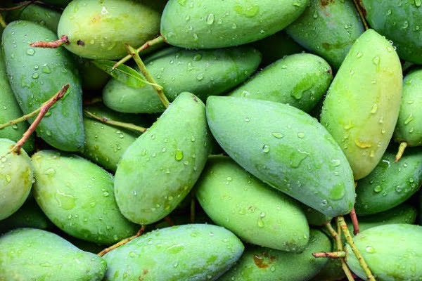 XoÃ i TÆ°Æ¡i, Ngon