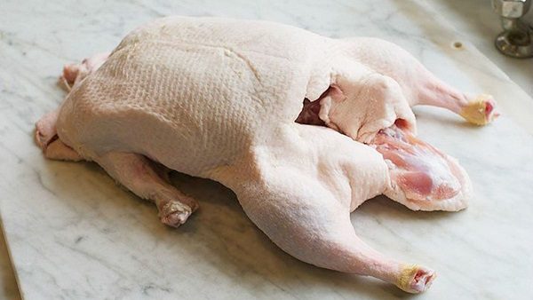 Khá»­ HÃ´i Thá»t Vá»t Báº±ng CÃ¡ch Nhá» Sáº¡ch LÃ´ng TÆ¡